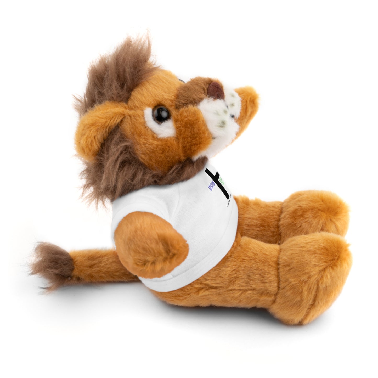 For God so loved you -Stuffed Animals