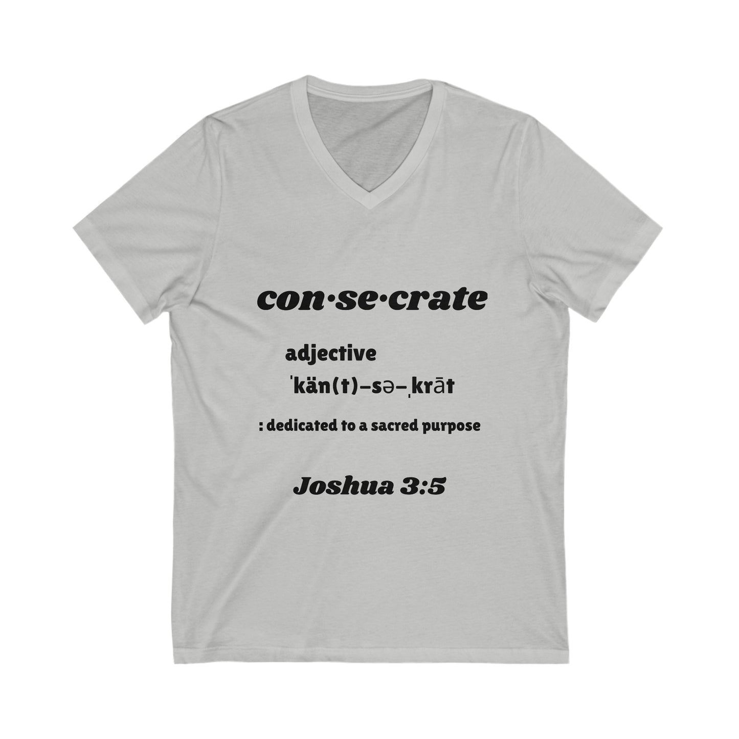 Unisex Jersey Short Sleeve V-Neck Tee